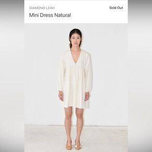 UPDATED PRICE: Diamond Leah Raw Silk Mini Dress
